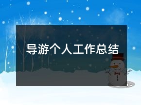 導游個人工作總結