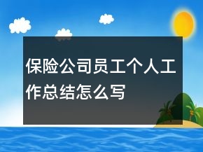 保險(xiǎn)公司員工個(gè)人工作總結(jié)怎么寫(xiě)