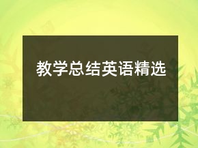 教學(xué)總結(jié)英語(yǔ)精選