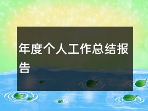 年度個人工作總結(jié)報告