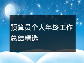 預(yù)算員個(gè)人年終工作總結(jié)精選