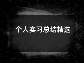 個(gè)人實(shí)習(xí)總結(jié)精選