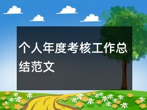 個(gè)人年度考核工作總結(jié)范文