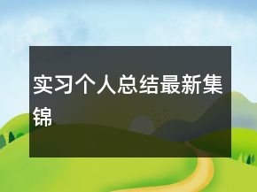 實習個人總結(jié)最新集錦