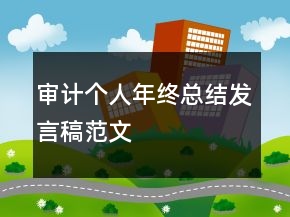 審計個人年終總結發(fā)言稿范文