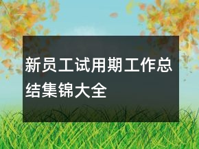 新員工試用期工作總結集錦大全