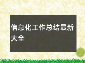 信息化工作總結(jié)最新大全