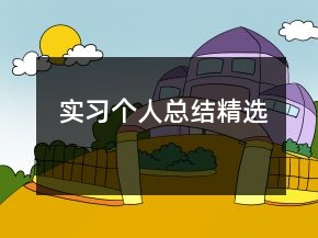 實習個人總結(jié)精選