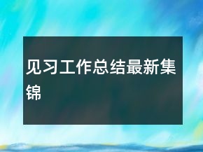 見習(xí)工作總結(jié)最新集錦