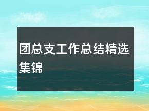 團(tuán)總支工作總結(jié)精選集錦