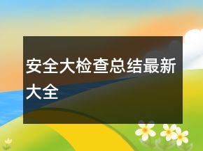 安全大檢查總結(jié)最新大全