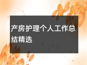 產(chǎn)房護理個人工作總結精選