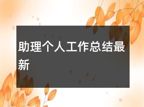 助理個人工作總結(jié)最新