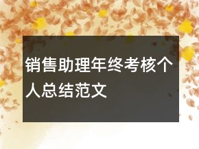 銷售助理年終考核個人總結(jié)范文