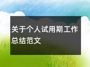 關于個人試用期工作總結(jié)范文