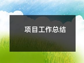 項目工作總結(jié)