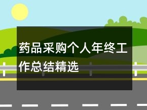 藥品采購個人年終工作總結(jié)精選