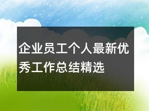 企業(yè)員工個(gè)人最新優(yōu)秀工作總結(jié)精選