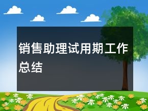 銷售助理試用期工作總結(jié)