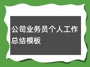 公司業(yè)務(wù)員個(gè)人工作總結(jié)模板