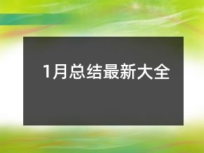 1月總結(jié)最新大全