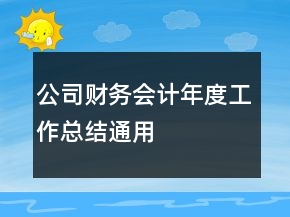 公司財務會計年度工作總結(jié)通用
