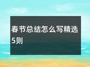 春節(jié)總結怎么寫精選5則