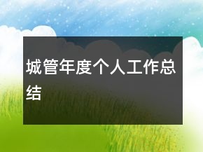 城管年度個(gè)人工作總結(jié)