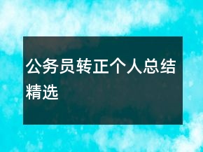 公務(wù)員轉(zhuǎn)正個(gè)人總結(jié)精選