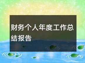 財(cái)務(wù)個(gè)人年度工作總結(jié)報(bào)告