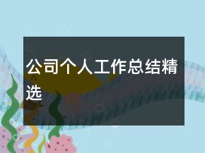 公司個人工作總結(jié)精選