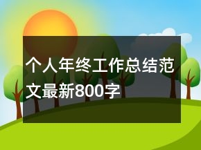 個人年終工作總結(jié)范文最新800字
