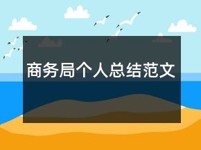 商務(wù)局個人總結(jié)范文