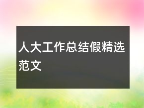 人大工作總結假精選范文