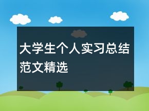 大學(xué)生個人實習(xí)總結(jié)范文精選