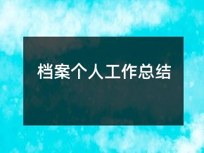 檔案個人工作總結