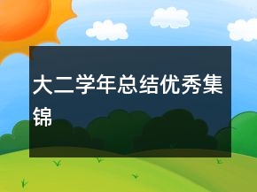 大二學年總結(jié)優(yōu)秀集錦