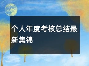 個人年度考核總結最新集錦
