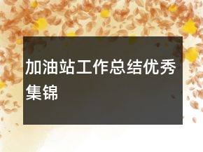 加油站工作總結(jié)優(yōu)秀集錦