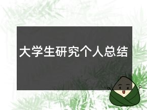 大學生研究個人總結