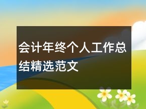 會(huì)計(jì)年終個(gè)人工作總結(jié)精選范文