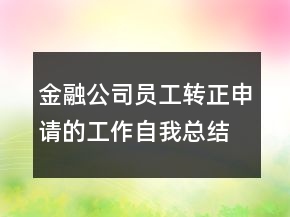 金融公司員工轉(zhuǎn)正申請(qǐng)的工作自我總結(jié)匯報(bào)
