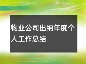 物業(yè)公司出納年度個(gè)人工作總結(jié)
