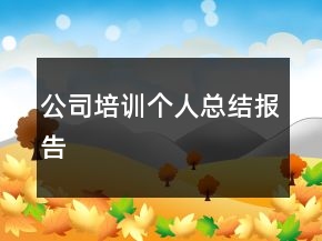 公司培訓個人總結報告
