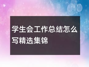 學(xué)生會(huì)工作總結(jié)怎么寫(xiě)精選集錦