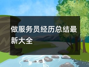 做服務(wù)員經(jīng)歷總結(jié)最新大全