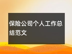 保險公司個人工作總結(jié)范文