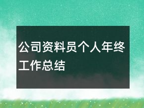 公司資料員個(gè)人年終工作總結(jié)