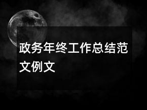 政務年終工作總結范文例文
