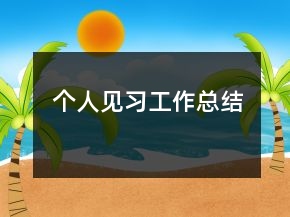 個(gè)人見(jiàn)習(xí)工作總結(jié)